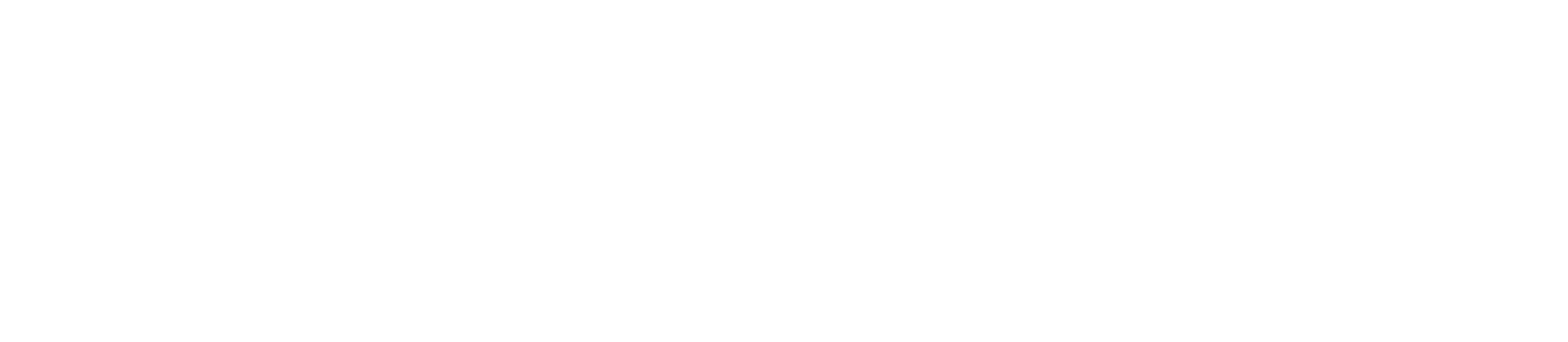 Logotyp-Vimmerby-Vit